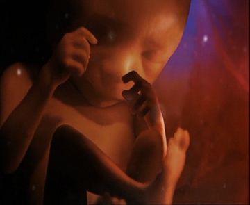 фотография ребенка на 26 неделе беременности