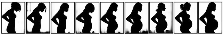 увеличение живота во время беременности
