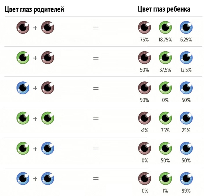 цвет глаз будущего ребенка, инфографика