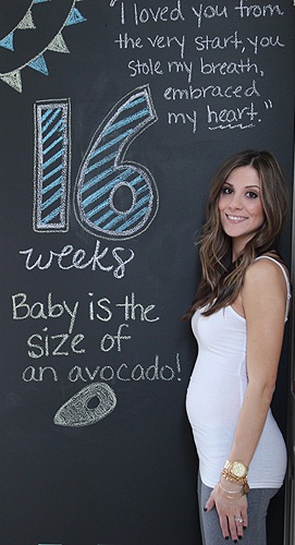живот на 16 неделе беременности