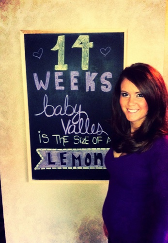 беременность 14 недель — живот