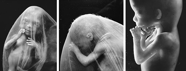 фотографии ребенка на 19 неделе беременности