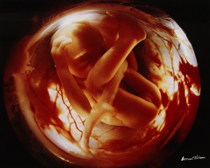 фотография ребенка на 29 неделе беременности