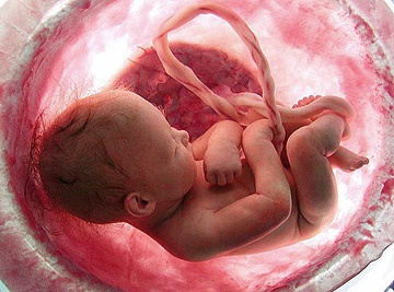 фотография ребенка на 39 неделе беременности